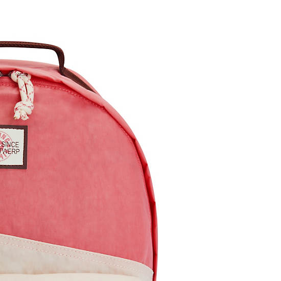 Sac Ordinateur Portable Kipling Damien Large Backpack Rose | FR 1583QM